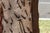19th Century Moroccan Handcrafted Temple Entry Double Doors | Iron, Bronze & Wood | Architectural Salvage For Sale - Image 17 of 18