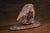 Rock Large Sculpture in Jurassic Natural Rock by Nerinea For Sale - Image 4 of 11