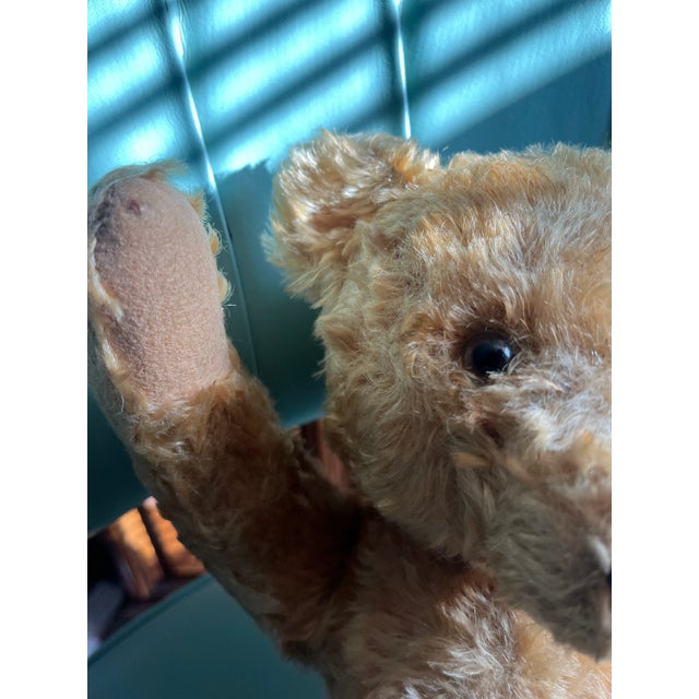 1940s Steiff Bear, Made in Germany For Sale - Image 9 of 12
