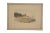 Farmhouse 3 Antique Nan Lindahl Mariners Haven Hillside Cove Sailboat Harbor Etchings 13" For Sale - Image 3 of 16