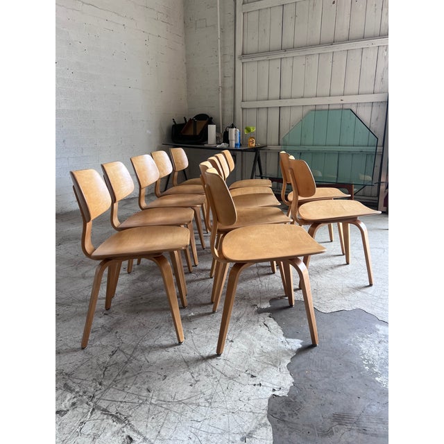 1960s Mid Century Modern Bentwood Chairs by Bruno Weil for Thonet - 12 Available For Sale - Image 5 of 7