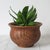 Vintage pottery planter with double sided incised fern leaf. No makers mark. Minor age wear.