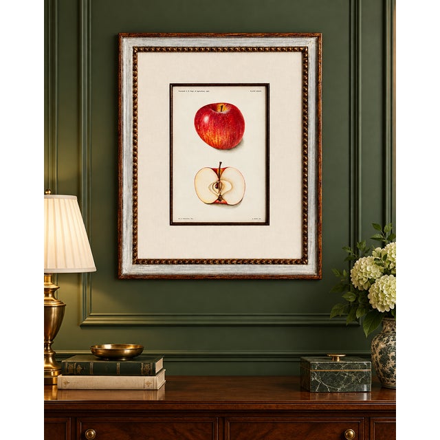 Original Antique 1903 Usda York Imperial Apple Chromolithograph | Lyons Ltd. Provenance | Armand Lee Custom Framing | Bertha Heiges For Sale - Image 16 of 16