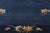 Early 20th Century Antique Blue Chinese Peking Rug - 04'00 X 05'09 For Sale - Image 5 of 9
