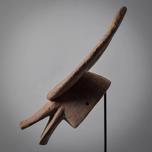 Early 20th Century Mama Mangam Bush Cow Headcrest Nigeria For Sale - Image 4 of 9