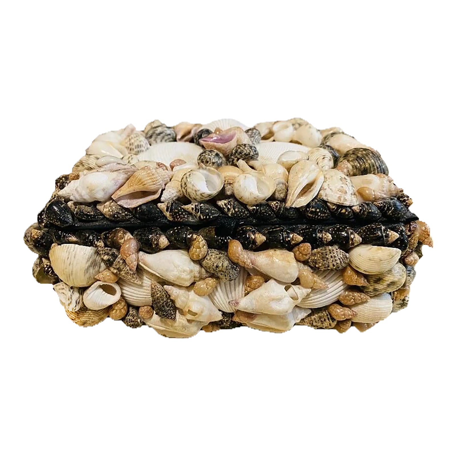 1970s Shell Encrusted Treasure Box | Chairish