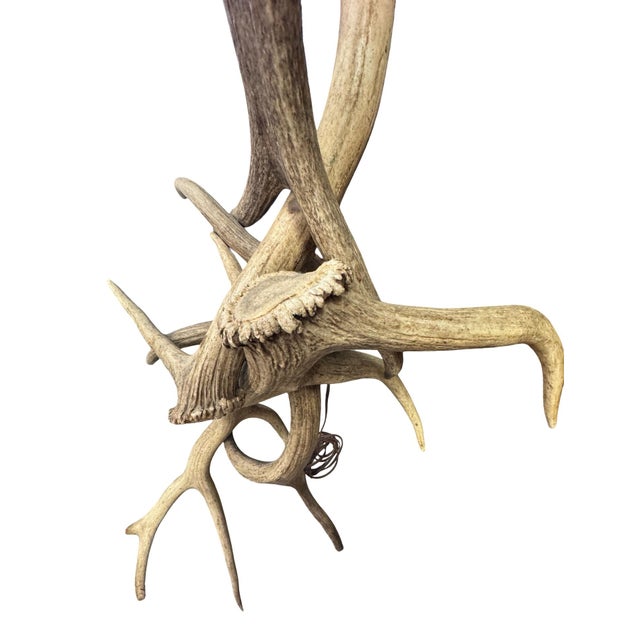 1990s Custom Made Natural Shed Antler Floor Lamp For Sale - Image 4 of 7