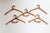 Anthroposophical Wooden Clothes Hangers, Set of 5 For Sale - Image 8 of 9