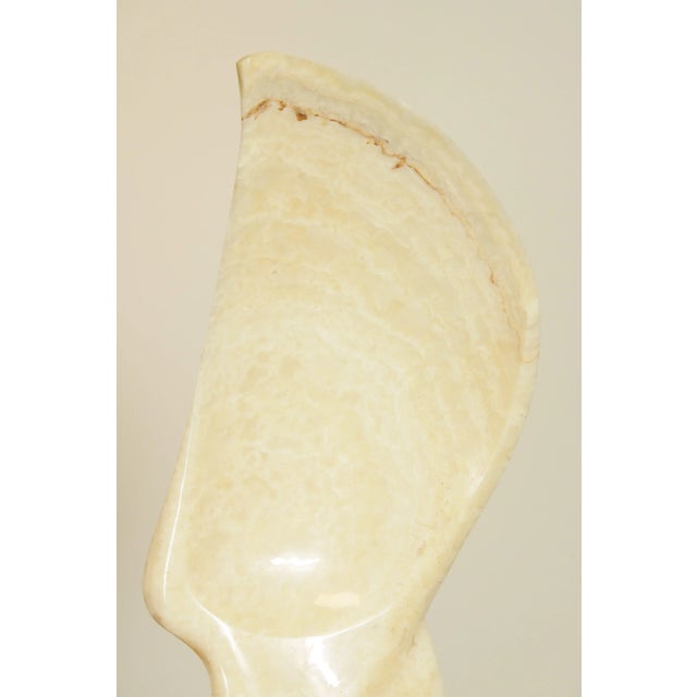 Leonardo Nierman Monumental Bird in Flight Onyx Abstract Sculpture For Sale - Image 10 of 13