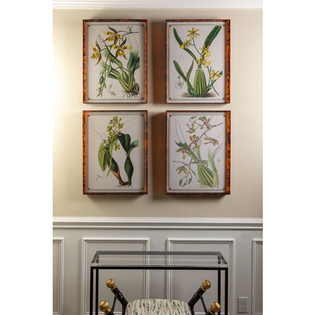 Spring Orchid III Giclee in Tortoise Frame For Sale In Chicago - Image 6 of 10