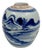 Antique Chinese Petite Blue and White Ginger Jar For Sale