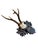 Roe deer trophy on a wood plaque with acorns and oak leaves.