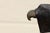 Wood Vintage Sarreid Ltd. Hooded Falcon on Fist Sculpture | Hand-Carved Wood & Brass | Made in Spain, Circa 1970s For Sale - Image 7 of 16
