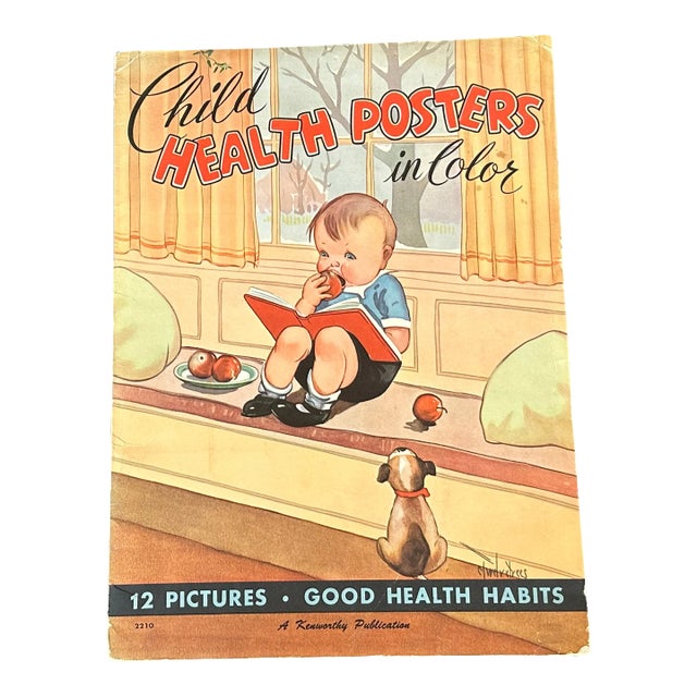 Vintage Children's School Classroom Poster Set For Sale