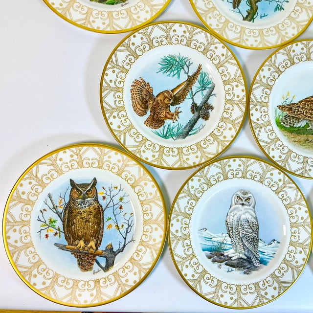 1980s 1980 Vintage Arts & Crafts English Bone China Owl Dinner Plates -Set of 8. For Sale - Image 5 of 18