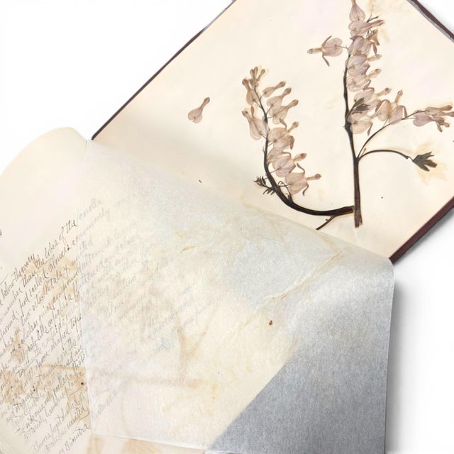 An exceptional turn-of-the-century herbarium and botanical manuscript album, attributed to Paul Benninghofen of Hamilton,...