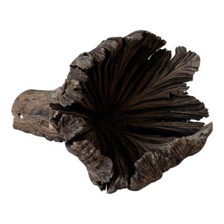 Natural Wood Tree Flower Sculpture / Organic Botanical Decor Object For Sale