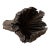 Natural Wood Tree Flower Sculpture / Organic Botanical Decor Object For Sale