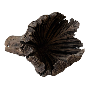 Natural Wood Tree Flower Sculpture / Organic Botanical Decor Object