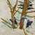Contemporary The Bee Eaters by Steve Moors, 26"x26" Framed For Sale - Image 10 of 10