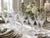 Late 20th Century Vintage Orrefors “Carina” 36-Piece Crystal Stemware Service by Ingeborg Lundin, Sweden For Sale - Image 5 of 17