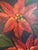 Mid-Century Modern Vintage Original Poinsettia and Lantern Christmas Holiday Painting, Signed Norma For Sale - Image 3 of 8