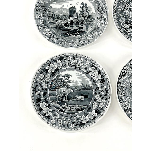 Ceramic Set of 4 Vintage Spode Black and White 10.5" Decorative Dinner Plates. The Archive Collection. For Sale - Image 7 of 12