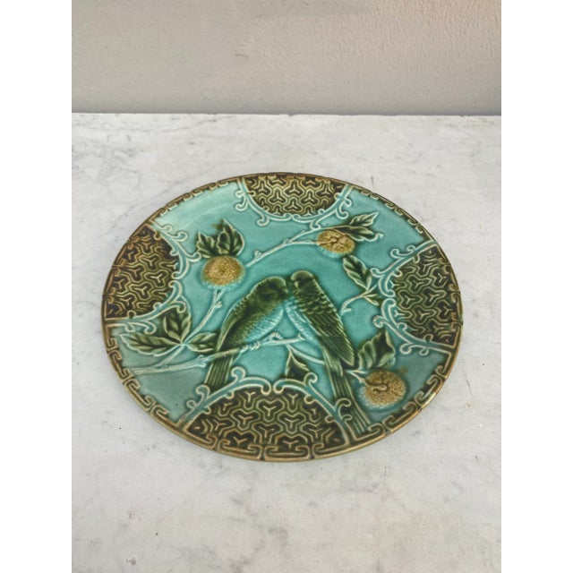 Majolica plate two parakeets on a blue background with oranges signed Salins, circa 1890.