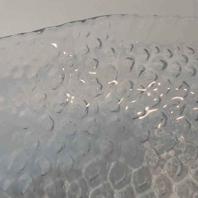 1970s Vintage 1970s Arcoroc Clear Glass “Poisson” Textured Fish Platter Made in France For Sale - Image 5 of 14
