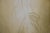 Bernard Charoy, Nude of Virginie, Lithograph For Sale - Image 5 of 8