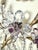 Italian Wall Sconces with Amethyst and Smoky Glass Blossoms, 1950s, Set of 2 For Sale - Image 14 of 18