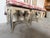 1970s Palm Beach Queen Anne–Style Carved Wood & Cane Dining Chairs — Set of 5 For Sale - Image 10 of 12