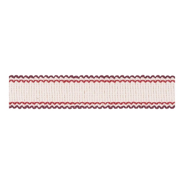 Sample - Schumacher Filippa Tape Indoor & Outdoor in Berry For Sale