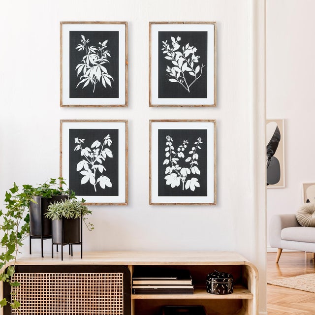 Kenneth Ludwig Chicago Monochrome Botanical Prints, Set Of 4 For Sale - Image 4 of 4