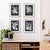 Kenneth Ludwig Chicago Monochrome Botanical Prints, Set Of 4 For Sale - Image 4 of 4