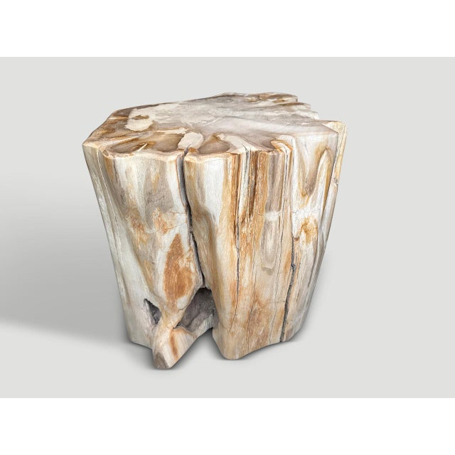Beautiful rare tones and shape on this high quality petrified wood side table. It’s fascinating how Mother Nature produces...
