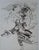 Claude Weisbuch (1927-2014) The rider Engraving Signed and numbered in pencil by the artist Limited edition of 200 copies,...