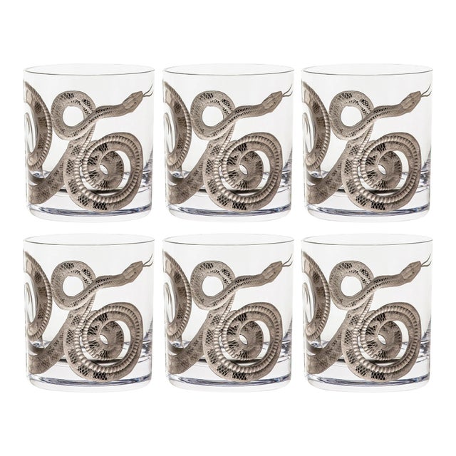 Cabinet of Curiosities Double Old Fashioned Glasses, Set of 6 Snake, Platinum For Sale