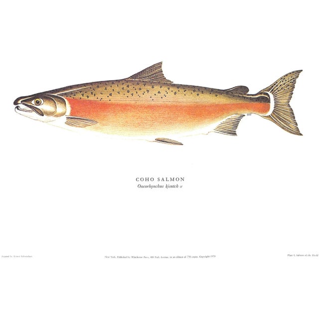 "Salmon of the World" 1970 Schwiebert, Ernest For Sale - Image 9 of 13
