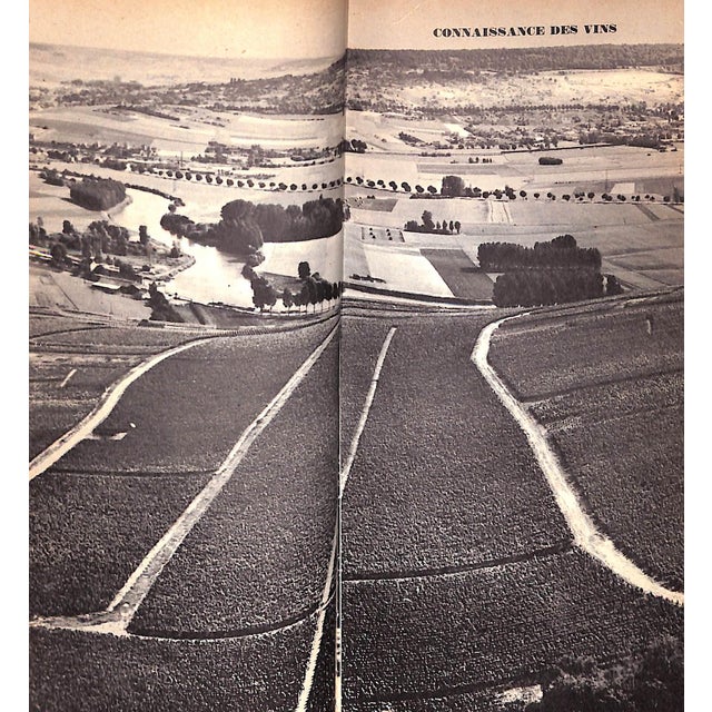 "Guide Du Vin" 1967 Dumay, Raymond For Sale In New York - Image 6 of 7