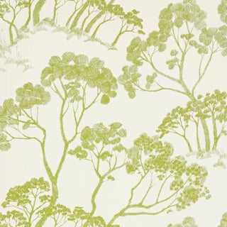 Sample - Schumacher Timber! Wallpaper in Leaf For Sale