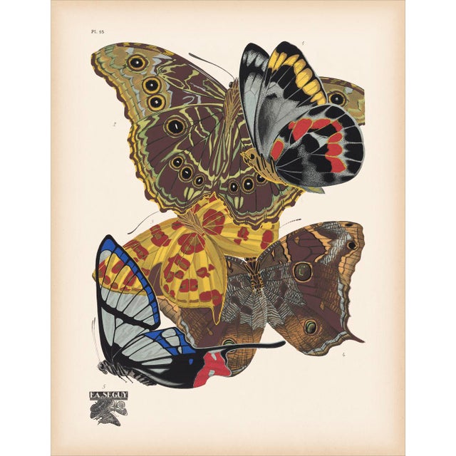 Papillons (Butterflies) Plate 15 Giclee Reproducion Art Print by Emile Allian Séguy For Sale