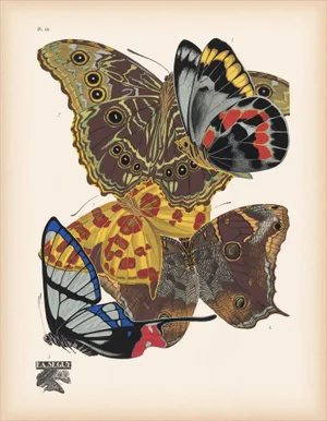 Papillons (Butterflies) Plate 15 Giclee Reproducion Art Print by Emile Allian Séguy