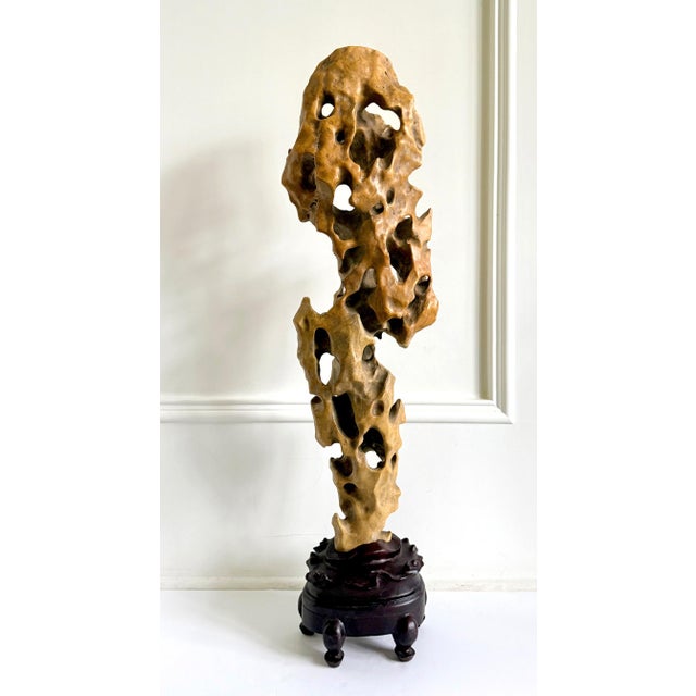 Asian Tall Elegant Chinese Scholar Rock Yellow Taihu Stone on Wood Stand For Sale - Image 3 of 18