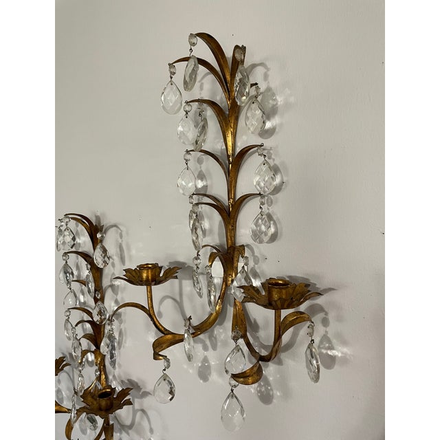Vintage Mid Century 19" Italian Gilded Tole and Crystals Candle Sconces - A Pair For Sale - Image 11 of 18