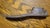 Brown Mid 20th Century Cast Iron Shoe Form For Sale - Image 8 of 11