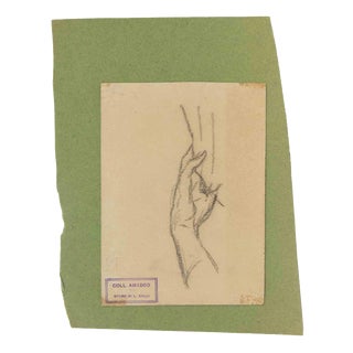 Luigi Galli, Anatomical Studies, Late 19th Century, Pencil on Paper For Sale