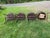 Vintage Windsor Oval Armchairs Set of 4 For Sale In Portland, OR - Image 6 of 10
