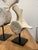Vintage Whale Vertebrae Bones, Set of three. Each one with beautiful natural antique white patina. All pieces are in great...