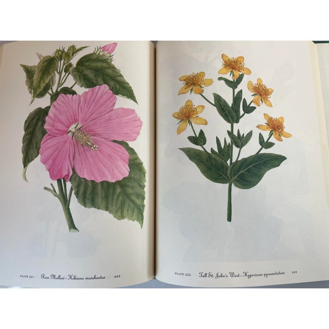1978 “Wild Flowers of America” Illustrated Book For Sale - Image 9 of 11